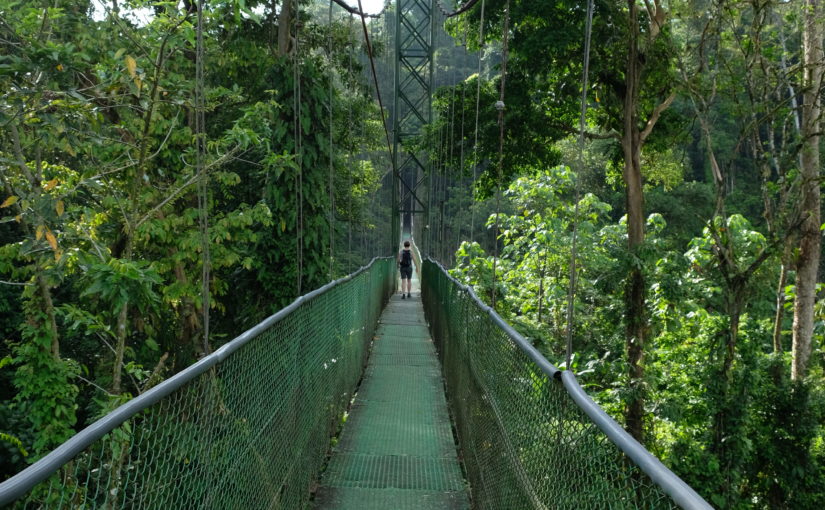 Sarapiquí
