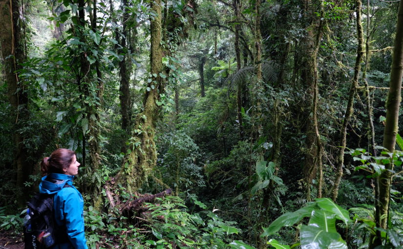 Santa Elena – Monteverde