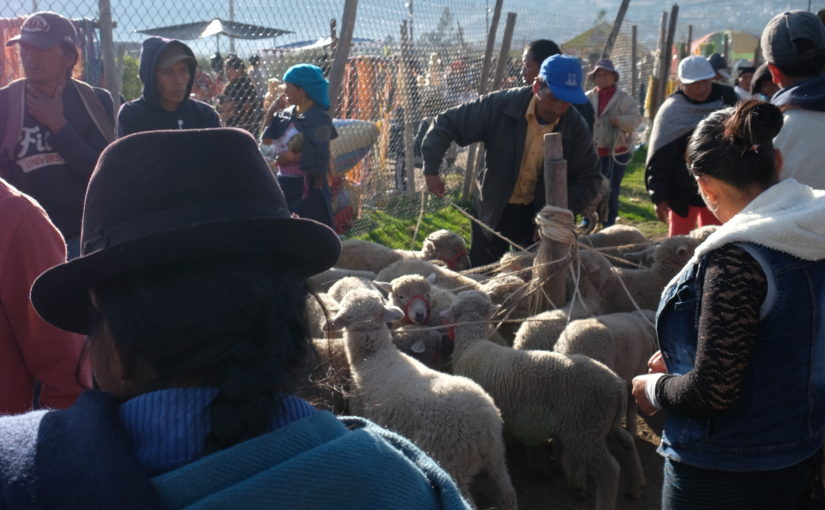 Otavalo