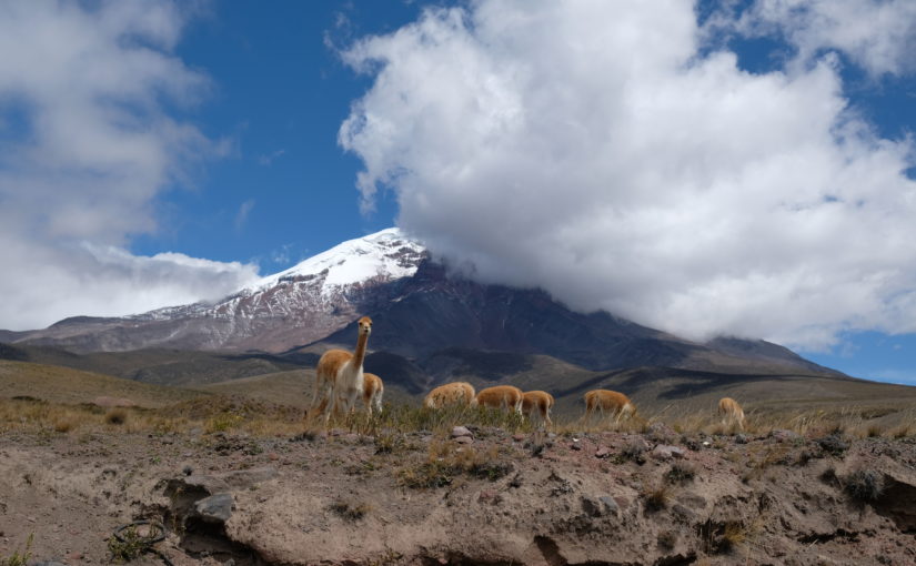 Chimborazo